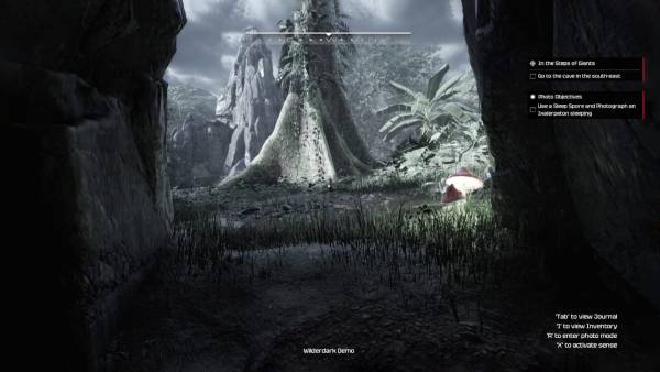 Wilderdark screenshot